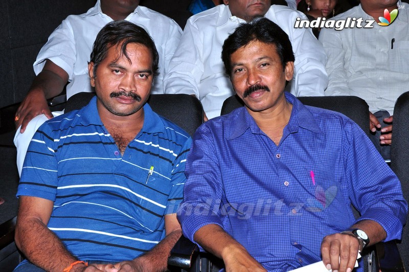 'Sathee Thimmamamba' Audio Launch