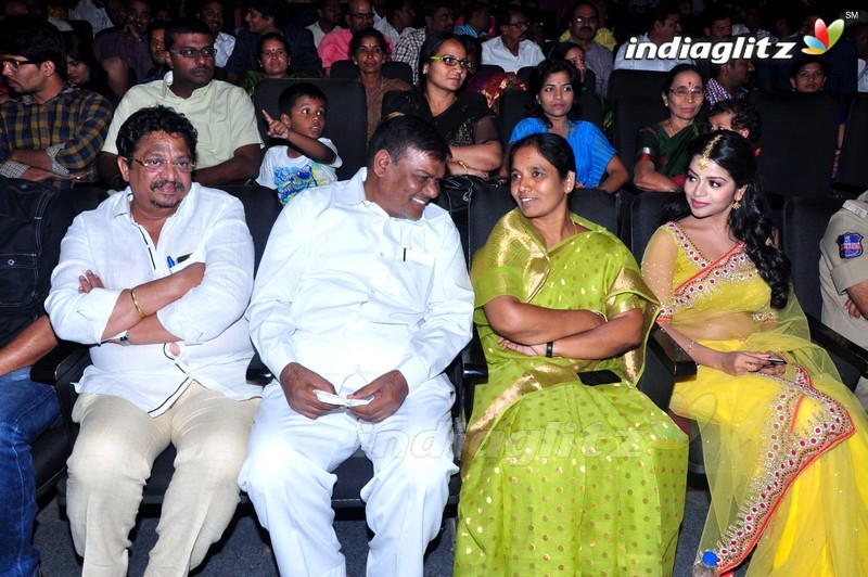 'Sathee Thimmamamba' Audio Launch