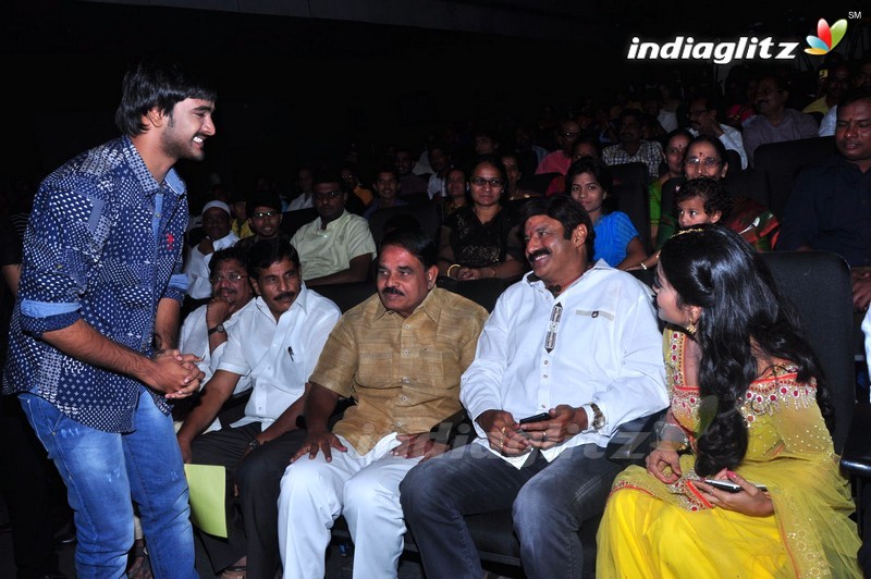 'Sathee Thimmamamba' Audio Launch