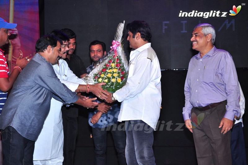 'Sathee Thimmamamba' Audio Launch