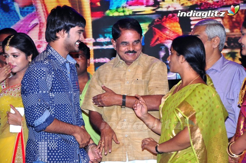 'Sathee Thimmamamba' Audio Launch