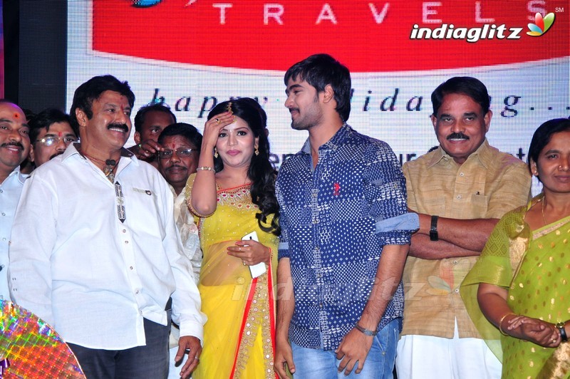 'Sathee Thimmamamba' Audio Launch