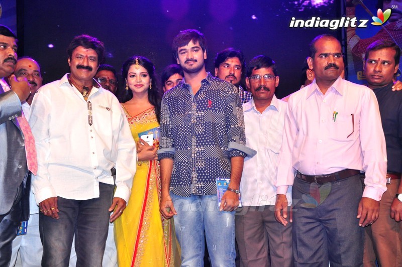 'Sathee Thimmamamba' Audio Launch