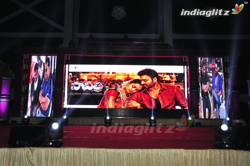 'Savithri' Audio Launch (Set-1)