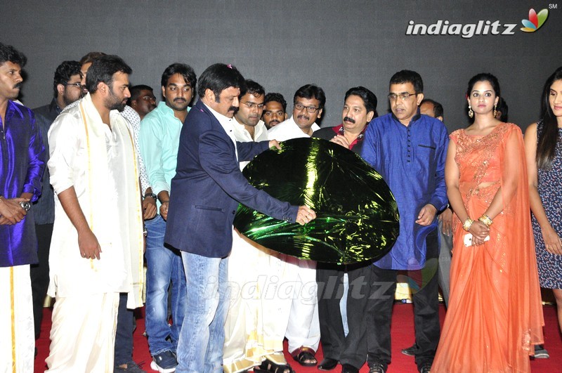 'Savithri' Audio Launch (Set-1)