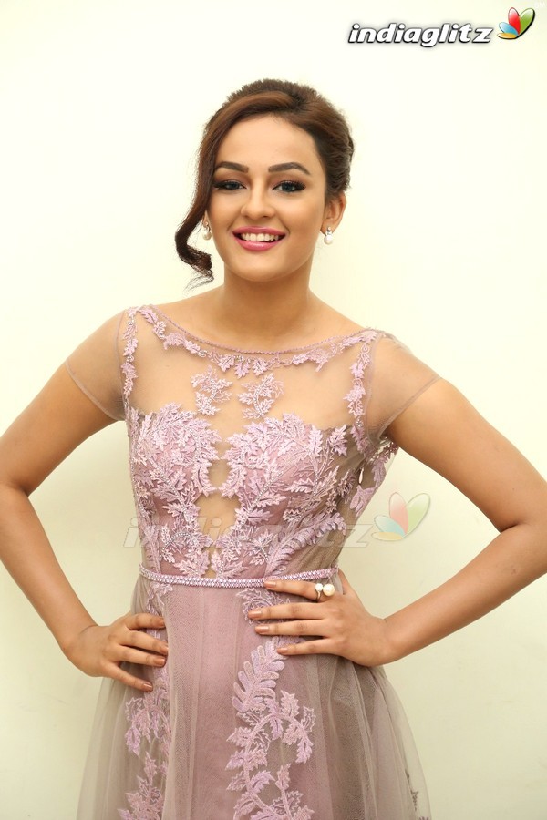 Seerat Kapoor Special Gallery