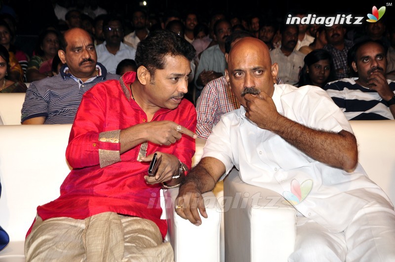 'Seethamma Andalu Ramayya Sitralu' Audio Launch