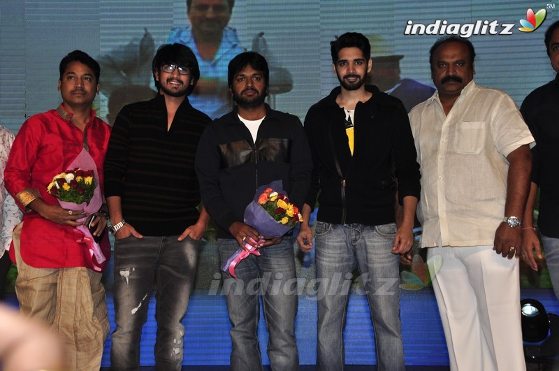 'Seethamma Andalu Ramayya Sitralu' Audio Launch