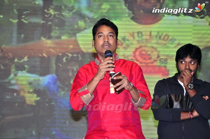 'Seethamma Andalu Ramayya Sitralu' Audio Launch