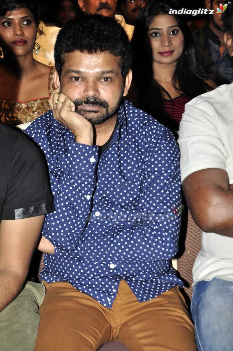 'Seethamma Andalu Ramayya Sitralu' Audio Launch