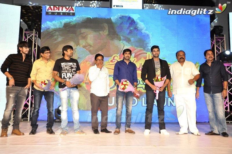 'Seethamma Andalu Ramayya Sitralu' Audio Launch