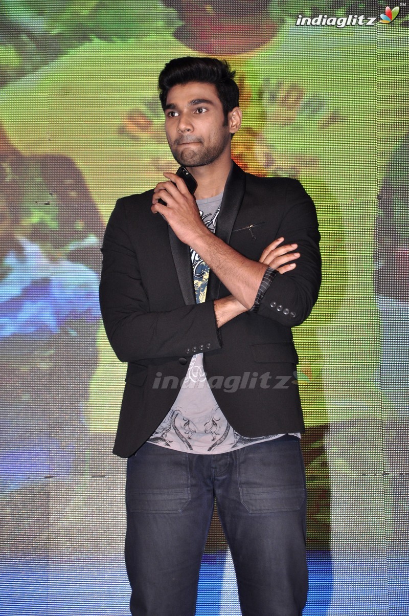 'Seethamma Andalu Ramayya Sitralu' Audio Launch