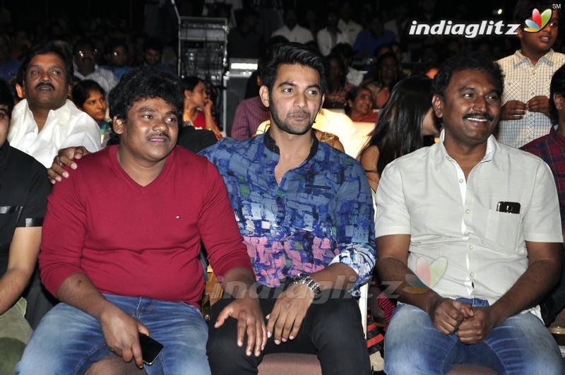 'Seethamma Andalu Ramayya Sitralu' Audio Launch