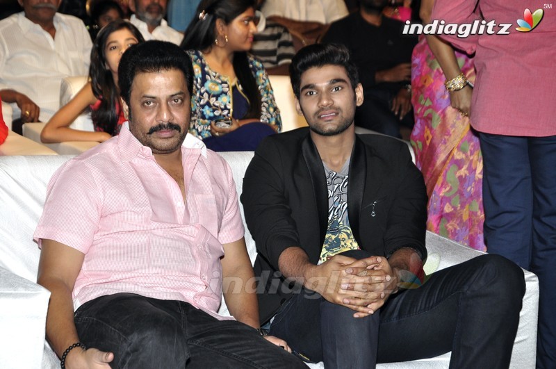 'Seethamma Andalu Ramayya Sitralu' Audio Launch