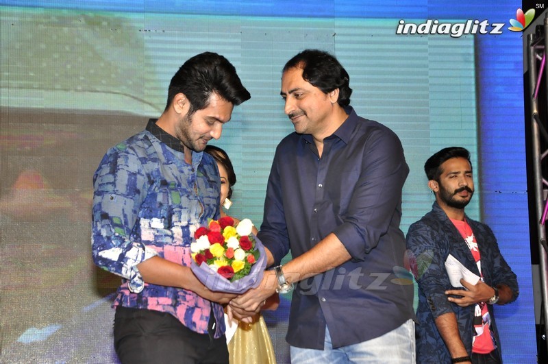 'Seethamma Andalu Ramayya Sitralu' Audio Launch