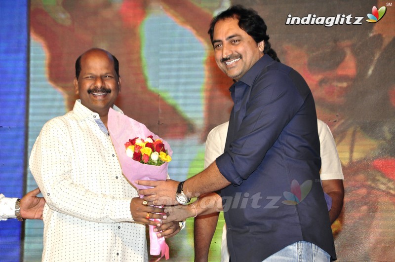 'Seethamma Andalu Ramayya Sitralu' Audio Launch