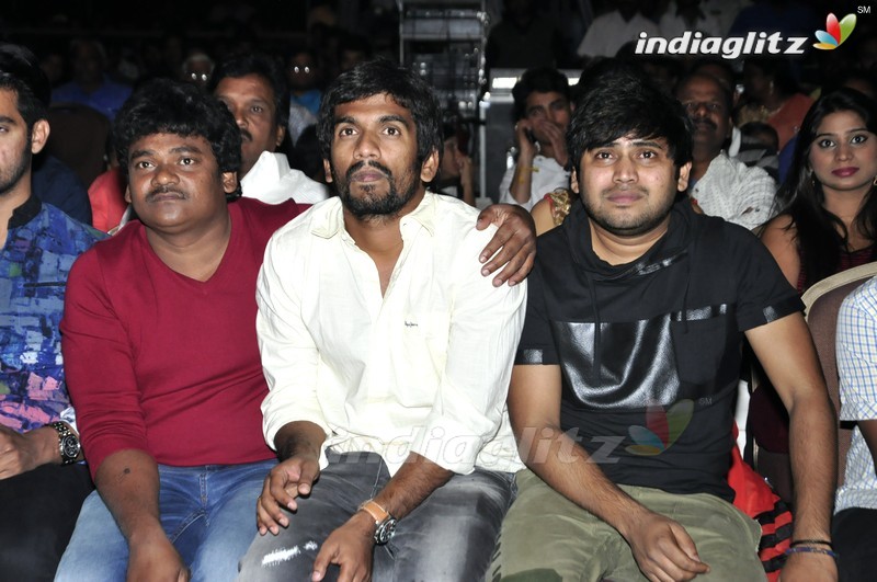 'Seethamma Andalu Ramayya Sitralu' Audio Launch