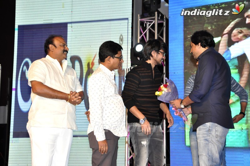 'Seethamma Andalu Ramayya Sitralu' Audio Launch