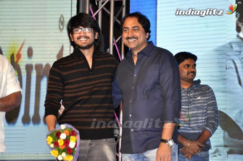 'Seethamma Andalu Ramayya Sitralu' Audio Launch