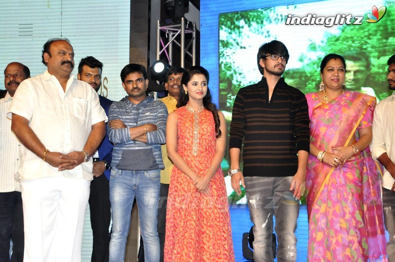 'Seethamma Andalu Ramayya Sitralu' Audio Launch