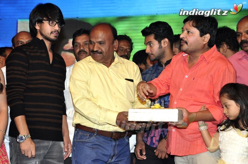 'Seethamma Andalu Ramayya Sitralu' Audio Launch