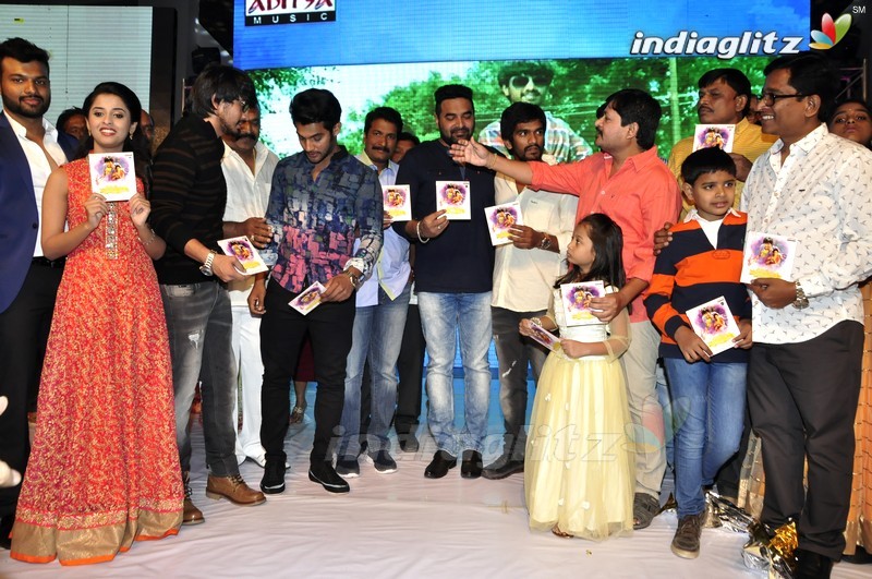 'Seethamma Andalu Ramayya Sitralu' Audio Launch