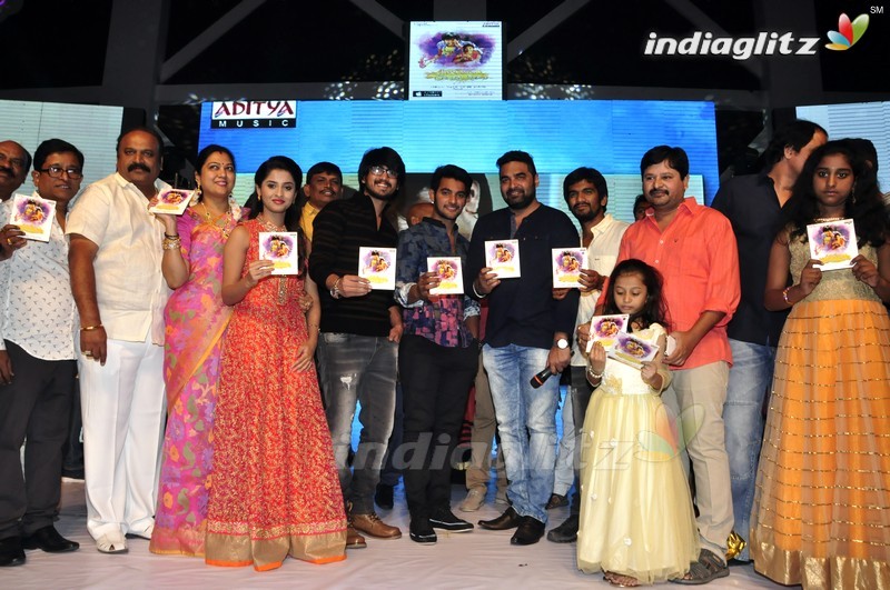 'Seethamma Andalu Ramayya Sitralu' Audio Launch