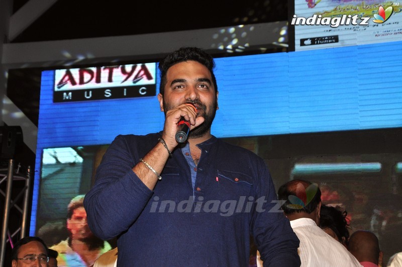 'Seethamma Andalu Ramayya Sitralu' Audio Launch