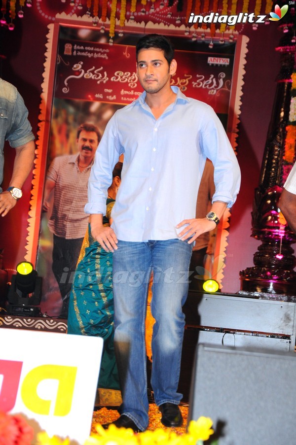 'SVSC' Triple Platinum Disc Function (Set-2)