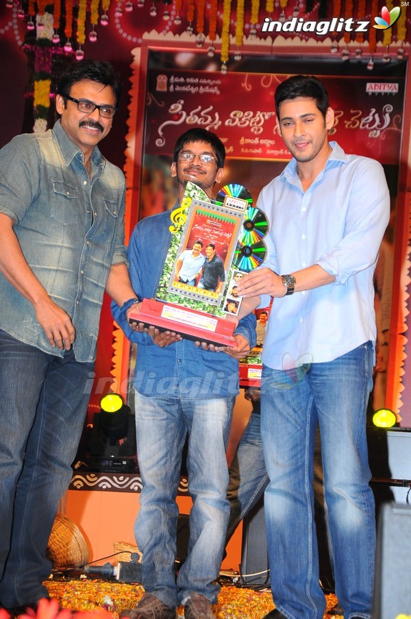 'SVSC' Triple Platinum Disc Function (Set-2)