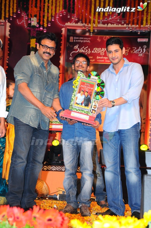 'SVSC' Triple Platinum Disc Function (Set-2)