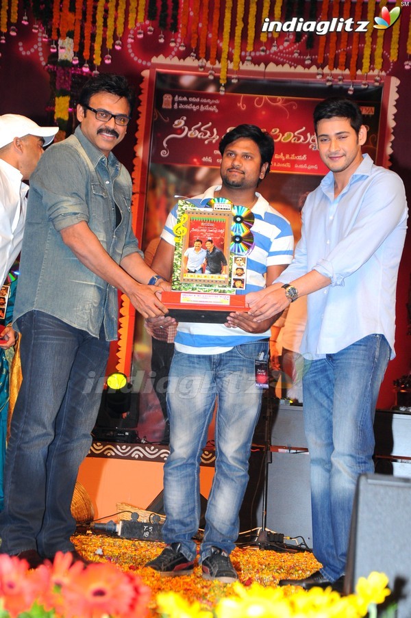 'SVSC' Triple Platinum Disc Function (Set-2)