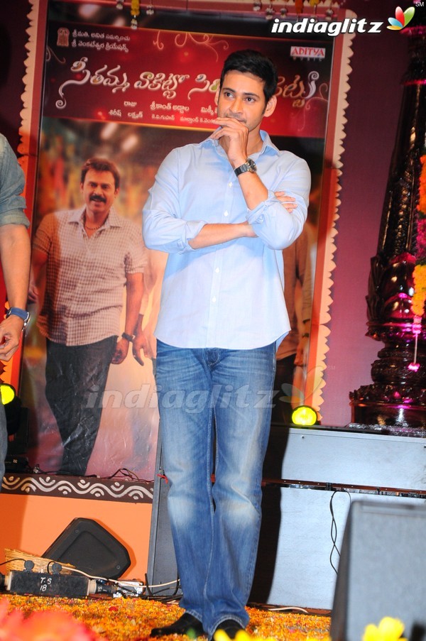 'SVSC' Triple Platinum Disc Function (Set-2)