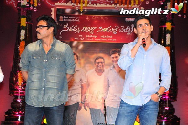 'SVSC' Triple Platinum Disc Function (Set-2)