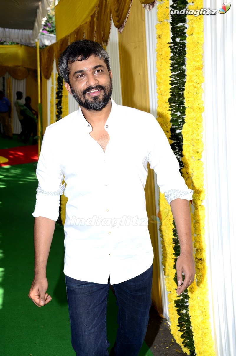 Sharwanand-Hanu Raghavapudi New Movie Opening