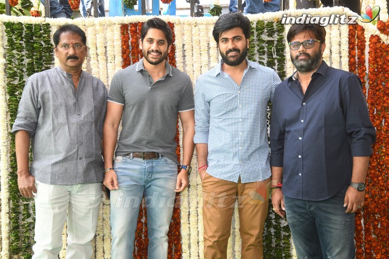 Sharwanand-Sudheer Varma New Movie Opening