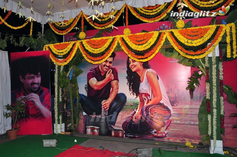 'Shatamanam Bhavati' Audio Launch (Set-1)