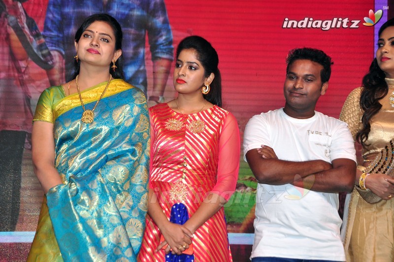 'Shatamanam Bhavati' Audio Launch (Set-1)