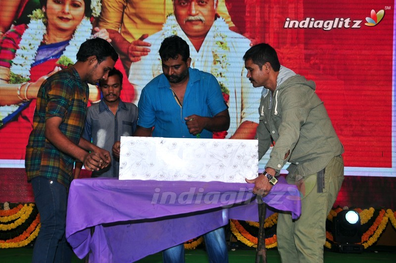 'Shatamanam Bhavati' Audio Launch (Set-2)