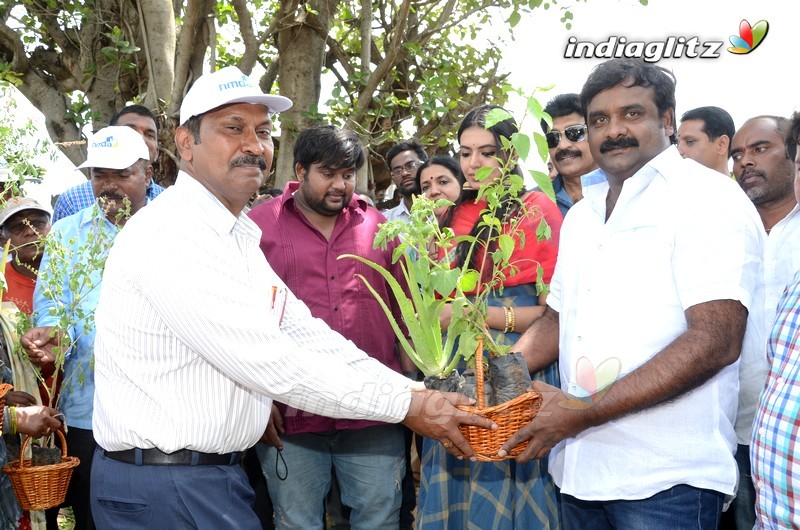 Shivani Rajashekar @ Haritha Haram