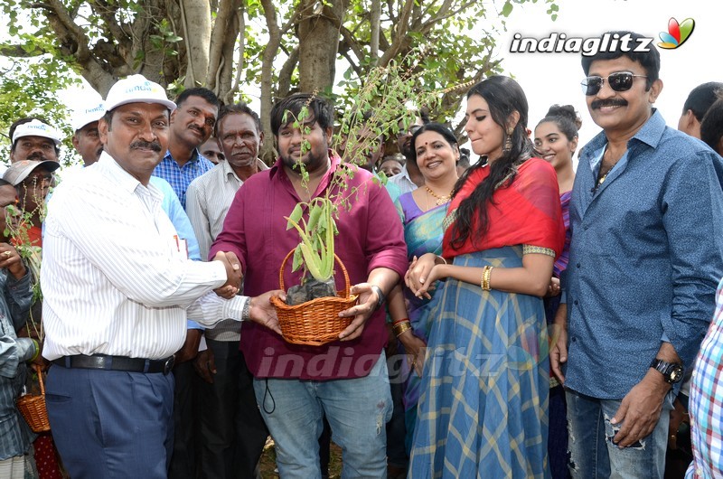 Shivani Rajashekar @ Haritha Haram