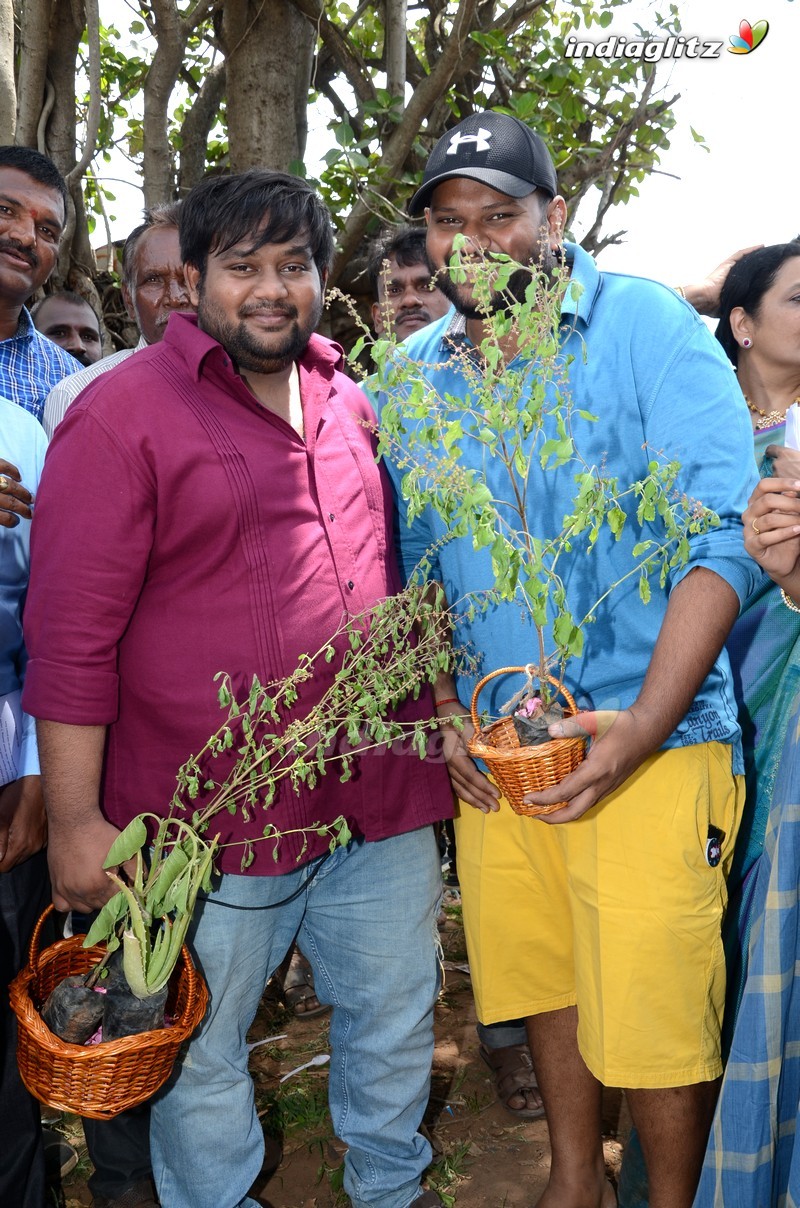 Shivani Rajashekar @ Haritha Haram