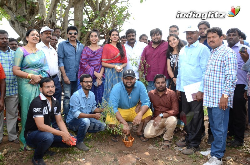 Shivani Rajashekar @ Haritha Haram