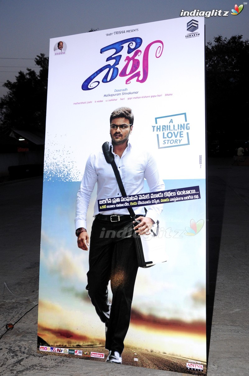 'Shourya' Audio Launch (Set-1)