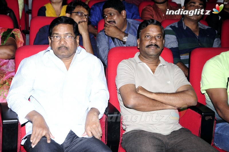 'Shourya' Audio Launch (Set-1)