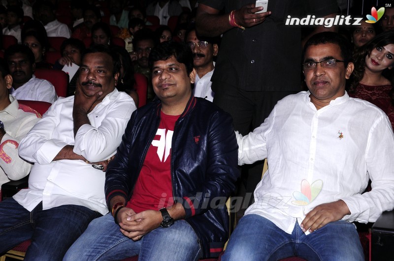 'Shourya' Audio Launch (Set-1)