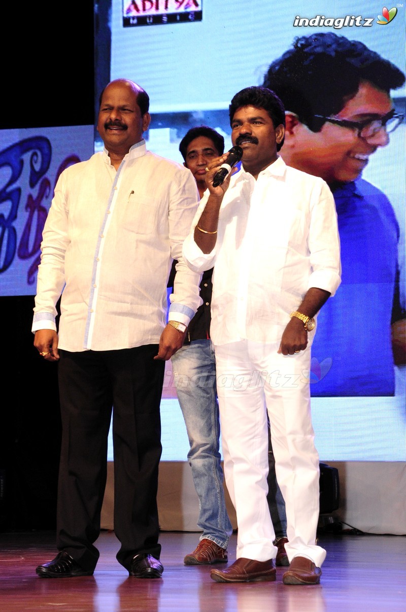 'Shourya' Audio Launch (Set-1)