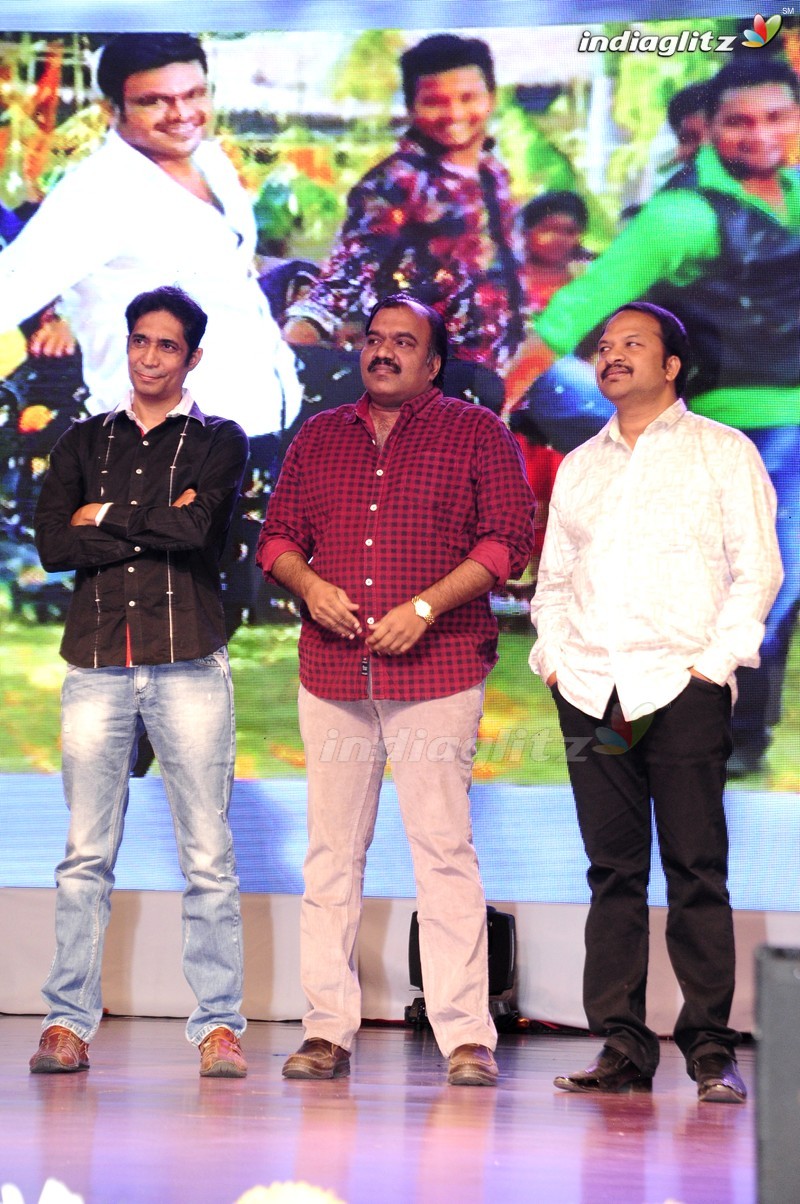 'Shourya' Audio Launch (Set-1)