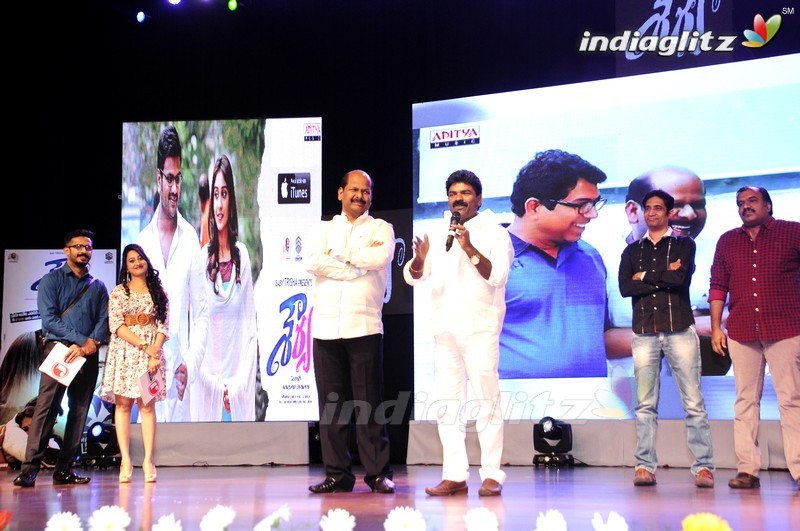 'Shourya' Audio Launch (Set-1)