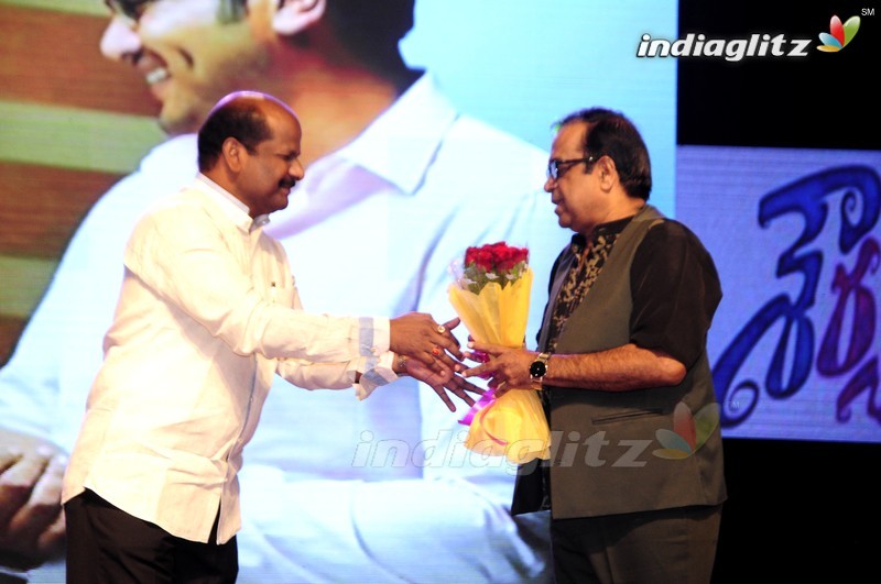 'Shourya' Audio Launch (Set-1)